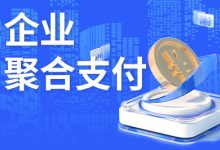 码支付 - 官网稳定正版免签约API支付接口平台,码支付-萱萱资源网